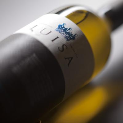 tenuta luisa davide michele sauvignon ferretti