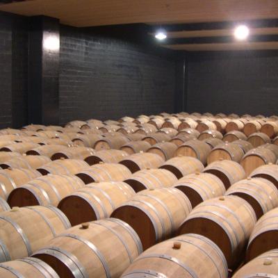 Trentino Alto Adige Lavis Trento Chardonnay Pinot Riesling Merlot Cabernet Sauvignon Muller Thurgau Gewurztraminer 