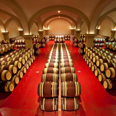 toscana argentiera Livorno maremma bolgheri Firenze 
