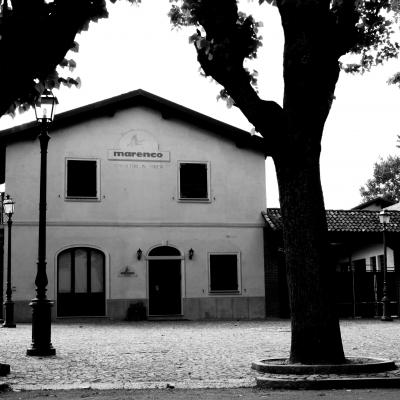 Marenco Moscato Alessandria strevi 