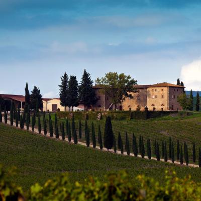 Sparviero chianti castellina sangiovese siena firenze 