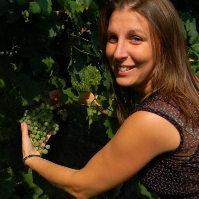 Veneto Valdobbiadene Glera Prosecco 