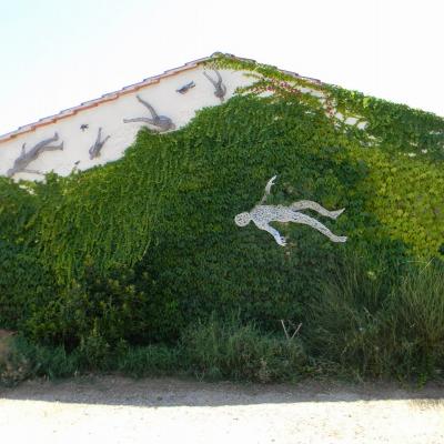 ansonica maremma biologico il cerchio sangiovese