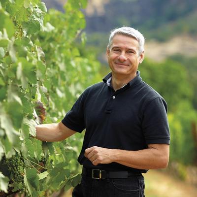 stags leap winery california napa valley winesoundtrack christophe paubert palisades