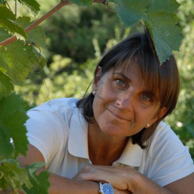 Piemonte Alessandria Gavi Monferrato Rosso Monferrato dolcetto