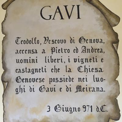 Gavi Broglia Consorzio