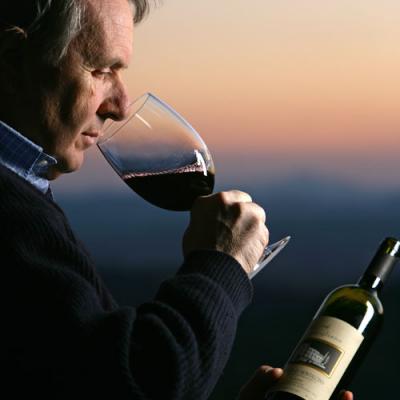 Toscana Siena Brunello Montalcino Brunello Sangiovese grosso rosso bianco vermentino cordone speronato chianti merlot olio grappa