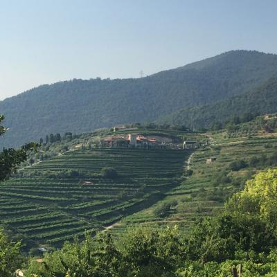 franciacorta spumante le cantorie elisabetta bontempi