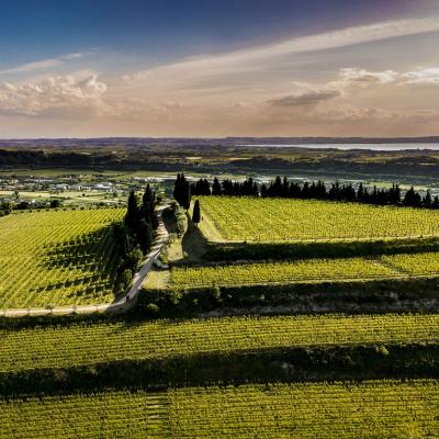 Veneto Verona Fumane Valpolicella Soave Amarone