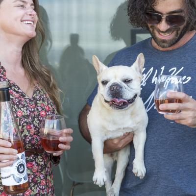 los angels wine hollywood wine soundtrack rose mobile