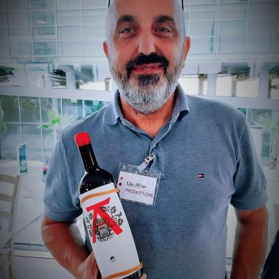 Villa Venti Mauro Giardini winesoundtrack roncofreddo longiano villaggio ideale 