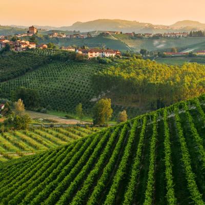 Toscana Chianti Terricciola Pisa 