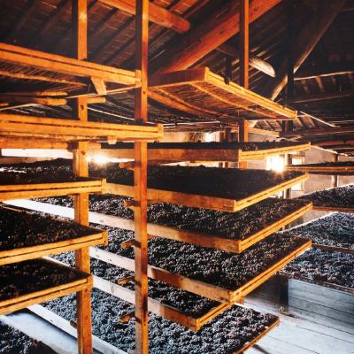 Tommasi brunello veneto amarone famiglia venezia verona 