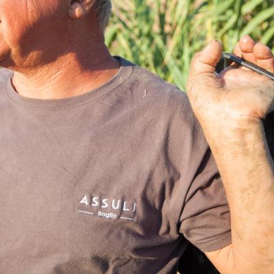 Sicilia Trapani Mazara del Vallo bianco rosso vino wine igt insolia cataratto grillo syrah nero di'avola