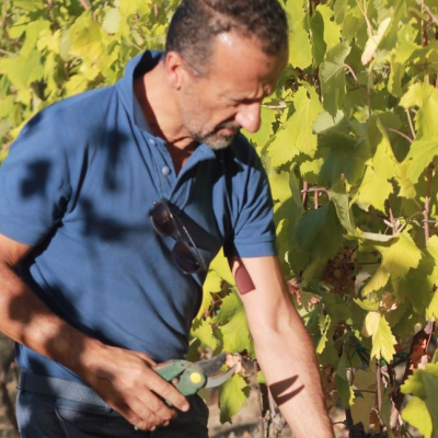 Mauro Sirri Celli Romagna It