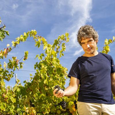 enrico cerulli irilli  montepulciano
