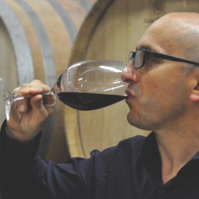 tenuta la viola vigne  Emilio Tamarri