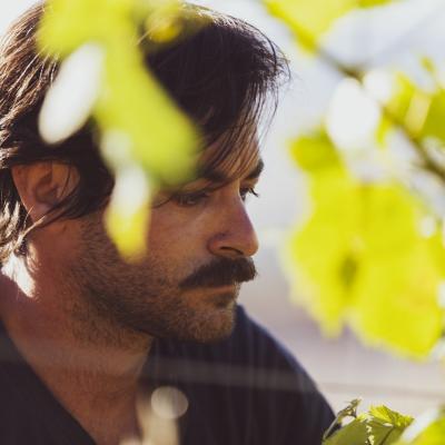 vito gioia ii incontro 