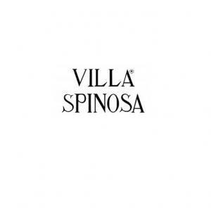 Villa Spinosa - Enrico Cascella Spinosa